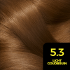 Garnier Olia 5 3 Golden Brown 1set