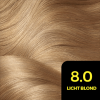 Garnier Olia 8 0 Blond Verp