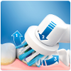 Oral B Electrische Tandenborstel Pro 1 770 2 Opzetborstels