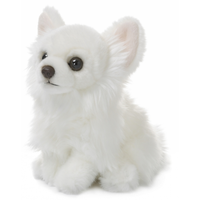 Witte Chihuahua Knuffel 19 Cm