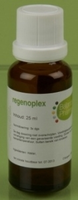 Balance Pharma Rgp023 Bijnieren Regenoplex