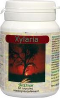 Biodream Voedingssupplementen Xylaria 60 Capsules
