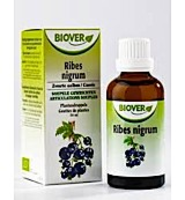 Biover Ribes Nigrum Biover 50ml