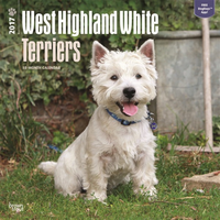 2017 Kalender Met West Highland Terrier Honden