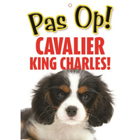Honden Waakbord Pas Op Cavalier King Charles 21 X 15 Cm