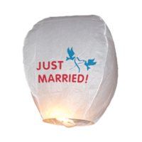 Just Married Wens Lampion Papier