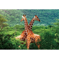 Kinder Placemats Giraffe