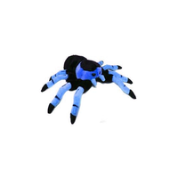 Tarantula Knuffel Blauw 22 Cm