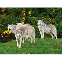 Wolf Placemat 40 Cm