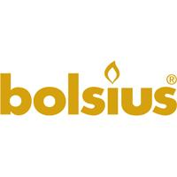 Bolsius Stompkaars 120/60 Metal Goud (1st)