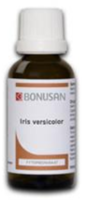 Bonusan Iris Versicolor 2566 /b