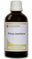 Bonusan Pinus Montana 6052 /b
