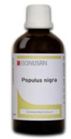 Bonusan Populus Nigra 6066 /b