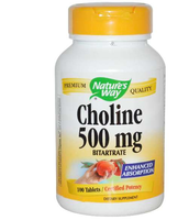 Choline 500 Mg (100 Tablets)   Nature's Way