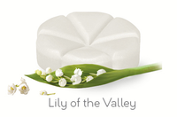 Creations Geurchips Lily Of The Valley (10st)