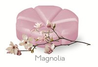 Creations Geurchips Magnolia (10st)