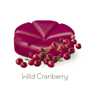 Creations Geurchips Wild Cranberry (10st)