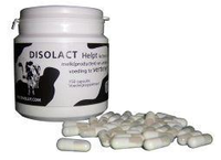 Disolut Disolact (lactase) 150cap