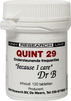 Dnh Quint 29 Tabletten