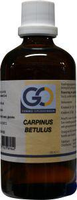 Go Carpinus Betulus