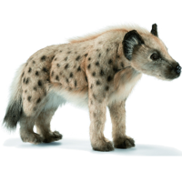 Pluche Hyena Knuffel 35 Cm