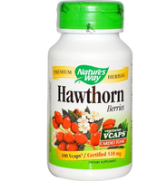 Hawthorn Bessen (100 Vegetarische Capsules)   Nature's Way