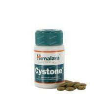 Holisan Cystone 100 Tabletten