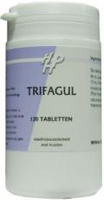 Holisan Trifagul Tabletten
