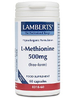 Lamberts L Methionine 500 8318