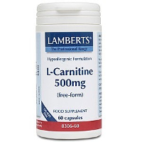 Lamberts L Carnitine 500 8306 Capsules