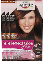 Schwarzkopf Poly Palette Perfect Gloss Color 566 Skast Voordeelverpakking 3x115ml