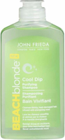 John Fr. Beach B Shampoo Cool Dip Purifying