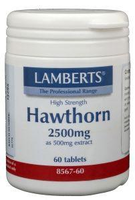 Lamberts Crataegus (hawthorn) 60tab