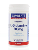 Lamberts L Glutamine 500mg /l8310 90  Groter Dan