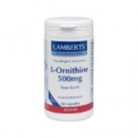 Lamberts L Ornithine 500 8319 Capsules