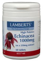 Lamberts Echinacea 1000mg 8557 Tabletten