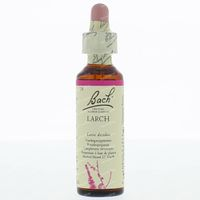 Larch / Lariks 20 Ml