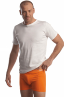 Oranje Heren Shorts