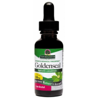 Golden Seal Root   Low Alcohol (30 Ml)   Nature's Answer