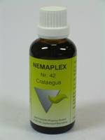 Nestmann Crataegus 42 Nemaplex (50ml)