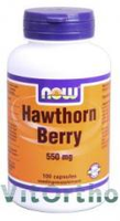 Now Voedingssupplementen Hawthorn Berry 550mg 100 Capsules