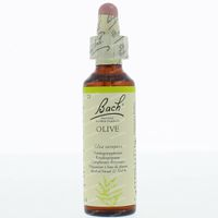 Olive / Olijf 20 Ml