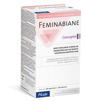 Pilej Feminabiane Conception 56st