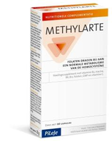 Pileje Methylarte 60gel