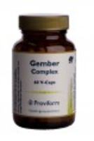 Proviform Gember Complex 200mg Capsules