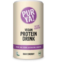 Purya Protein Dr Energy Sv (550g)