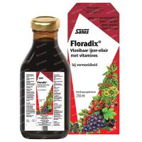 Salus Floradix Ijzer Elixir 250 Ml