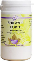 Shilayur Forte Holisan 45vc