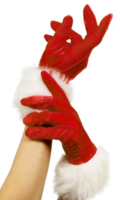 Luxe Rode Handschoenen