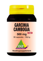 Snp Garcinia Cambogia 500mg Puur